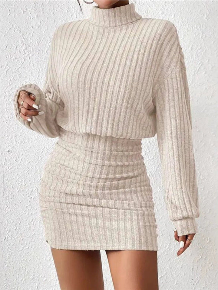 Chloe | Ribbed High-Neck Knit Dress